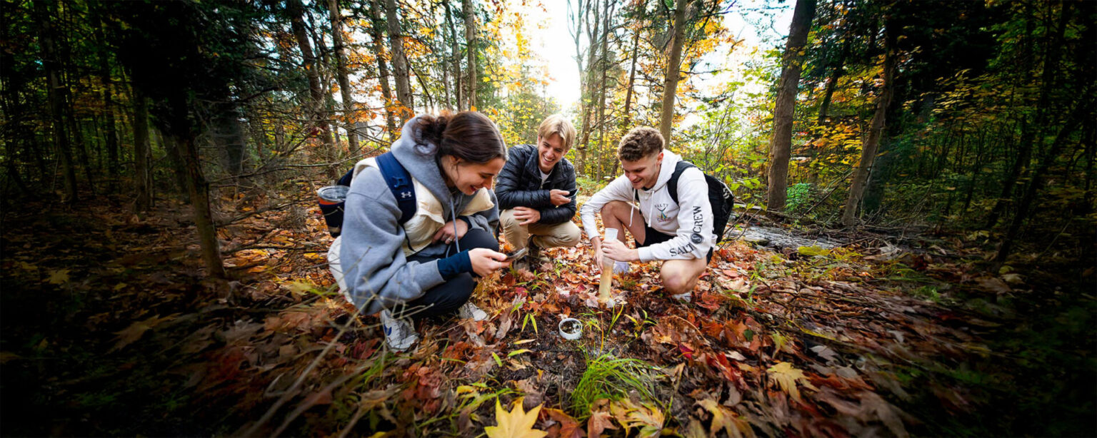 3 students doing an experiment in nature in the fall