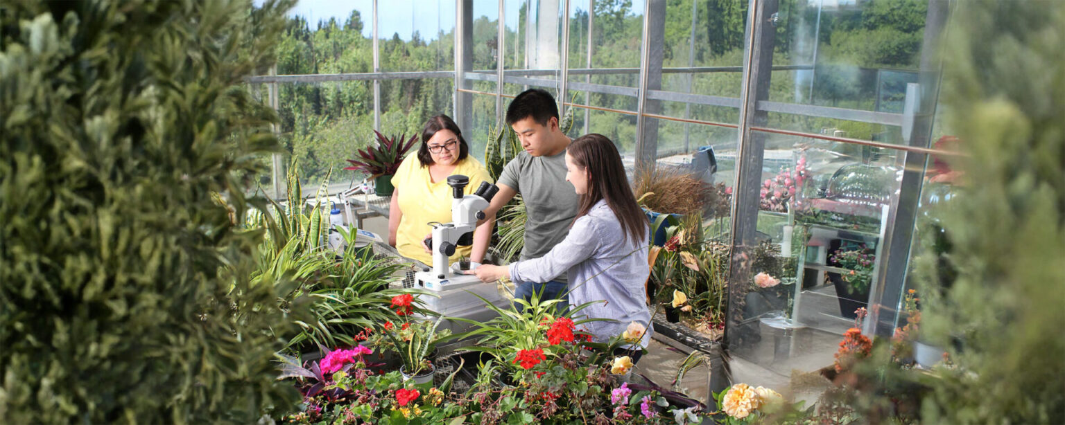 3 students looking at a microscope surrounded by flowers and plants in a greenhouse